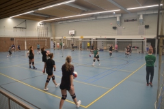 2025-01-21-Prima-Donna-Kaas-Clinic-039