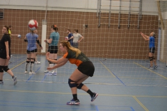 2025-01-21-Prima-Donna-Kaas-Clinic-074