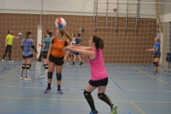 2025-01-21-Prima-Donna-Kaas-Clinic-075